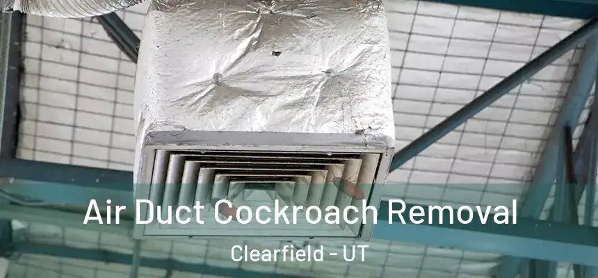  Air Duct Cockroach Removal Clearfield - UT