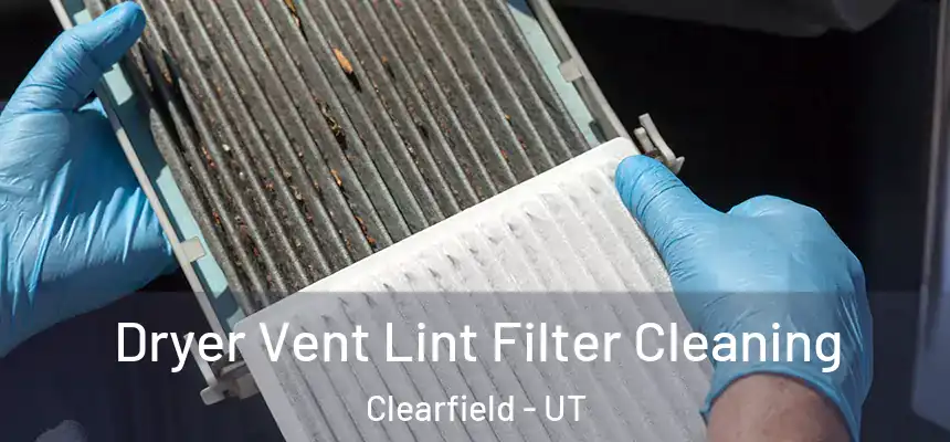  Dryer Vent Lint Filter Cleaning Clearfield - UT