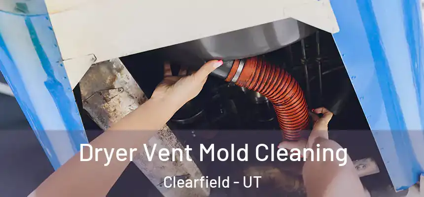  Dryer Vent Mold Cleaning Clearfield - UT