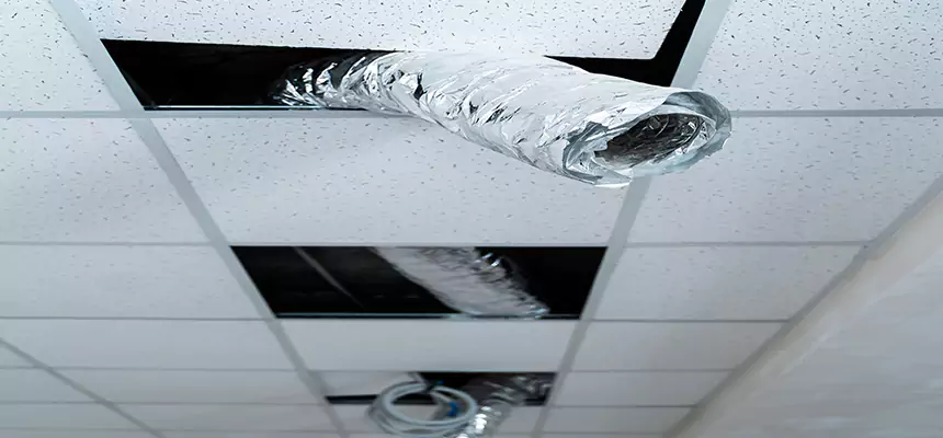 Affordable HVAC Sanitizing After Pest Removal in Clearfield