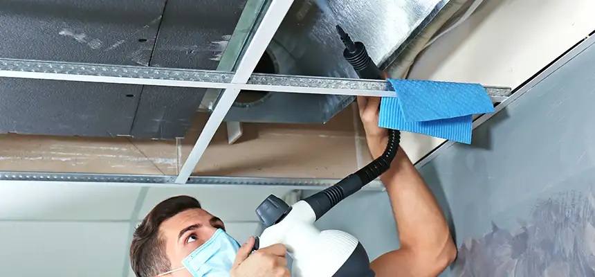 Our Air Duct Rodent Removal Services in Clearfield, UT