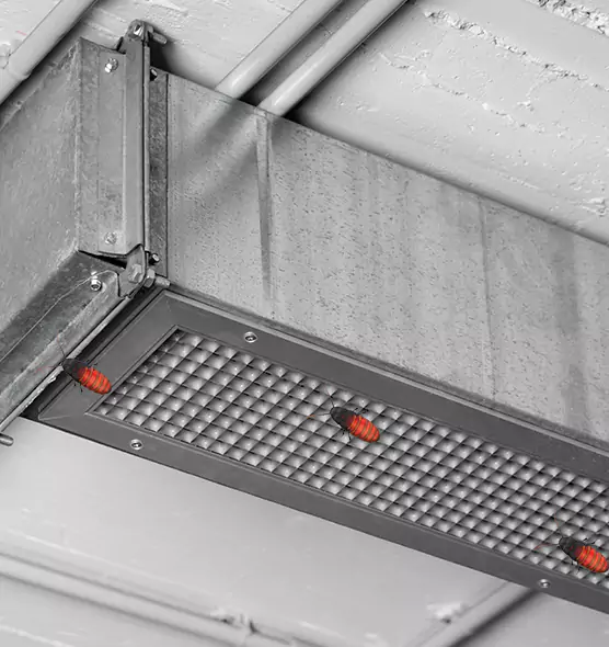About Air Duct Cockroach Removal in Clearfield, UT