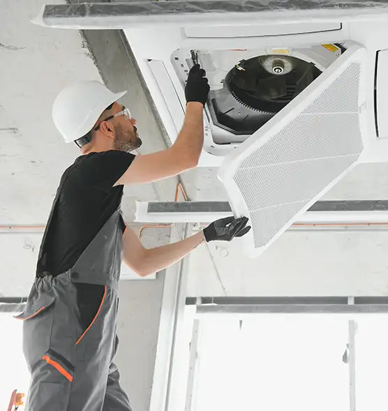 About Air Duct Rodent Removal in Clearfield, UT